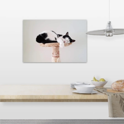 Foto-poster op muur van yoursurprise.nl, afbeelding toont een kat die slaapt op een krabpaal